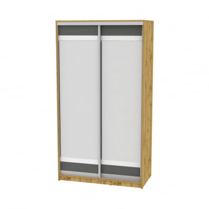 Шкаф-купе B-230х120х60-2(ДВ-Графит-D10D10)_0