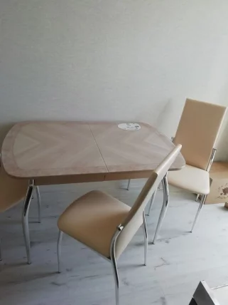 Стол обеденный Орфей 30.10 Дуб Кобург_9