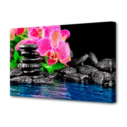 Холст Топлигхт Цветы ххсм ТЛ-Х3014 / Toplight TL-H3014_0