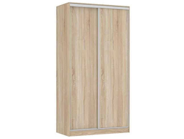 Шкаф-купе Рио-5 Дуб сонома_0