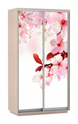 Шкаф-купе двухдверный Экспресс Хит Сакура/Дуб молочный_0