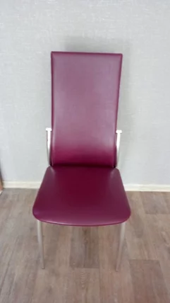 Стул Маэстро 1 Рувер баклажановый_2