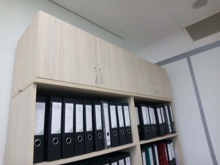 Антресоль Twin 16.13.131 Туя_3