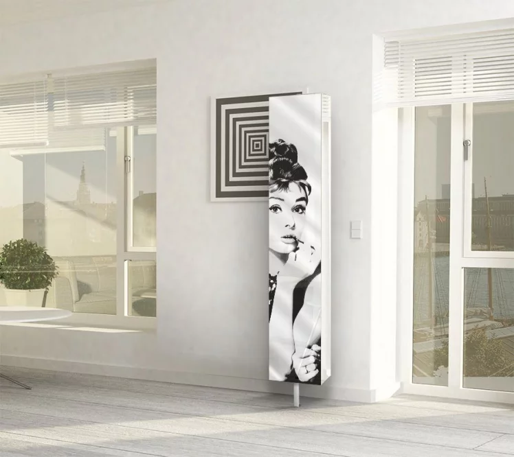 Зеркальный поворотный шкаф с принтом Зум Шелф Арт Беленый дуб_1