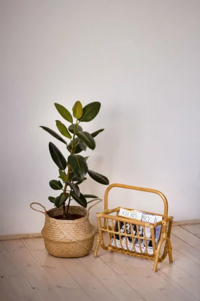 Газетница 17/13 орех матовый_1