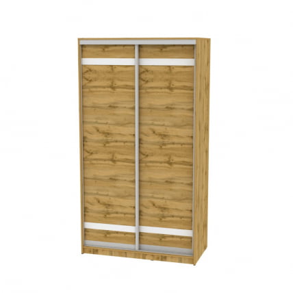 Шкаф-купе B-230х120х60-2(ДВ-D9D9)_0