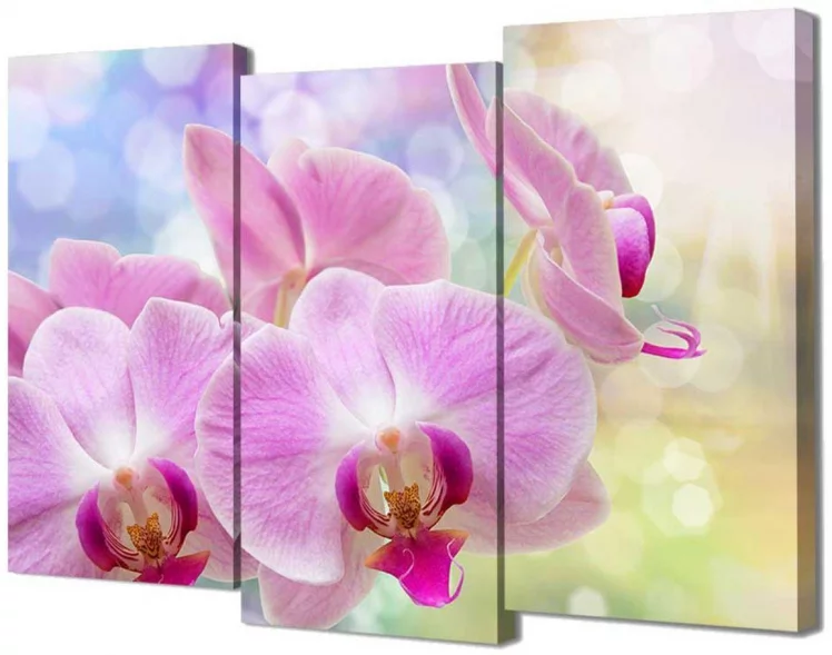 Модульная картина Toplight TL-M2075_0