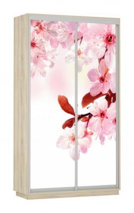 Шкаф-купе двухдверный Экспресс Дуо 1200х2200h Сакура/Дуб сонома_0