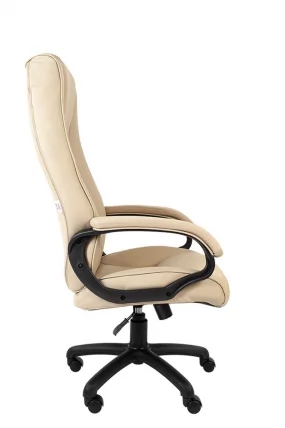 Кресло для руководителя РК-100 Бежевое_2