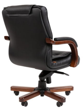 Офисное кресло CHAIRMAN 653М, натуральная кожа/экокожа (механизм мультиблок) Н / 653M, N_4
