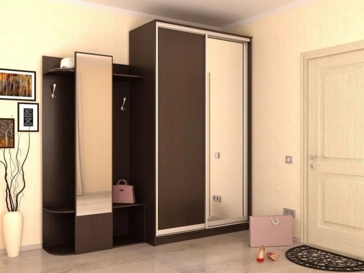 Шкаф-купе Хит-24-17-15 Аруба Венге_2