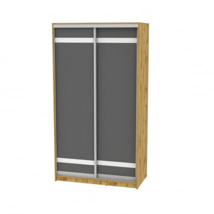 Шкаф-купе B-230х120х60-2(ДВ-Графит-D9D9)_0