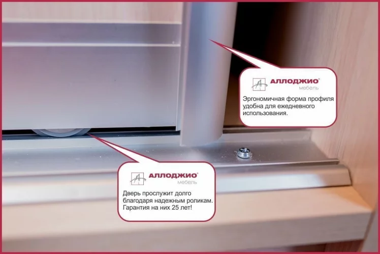 Шкаф-купе Хит-23-17-11 Аруба Венге_5