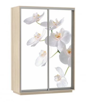 Шкаф-купе двухдверный Экспресс Дуо 1600х2400h Белая орхидея/Ясень шимо светлый_0
