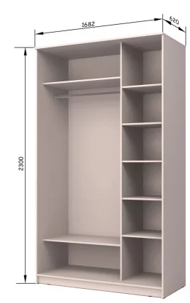 Шкаф-купе Хит-23-17-11 Ясень шимо темный_2
