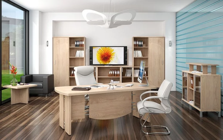 Кабинет руководителя БОРН набор 9 Бургунди_0