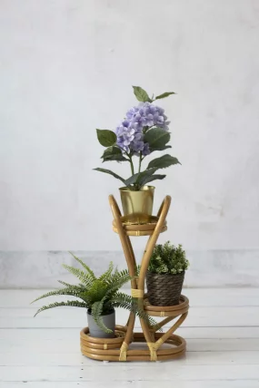 Цветочница 15/23 мед_1