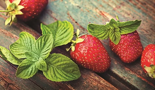 Стол обеденный Прямоугольный 1200х700 фп Клубника ЛДСП серый_1