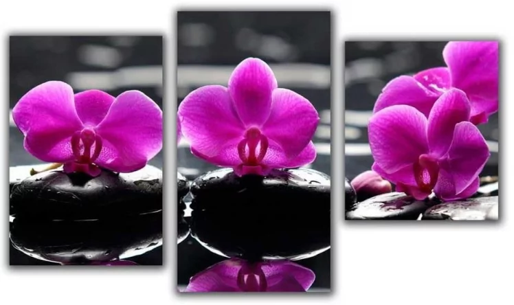 Мини модульная картина Цветы на камнях Топлигхт хсм ТЛ-ММ1038 / Toplight TL-MM1038_0