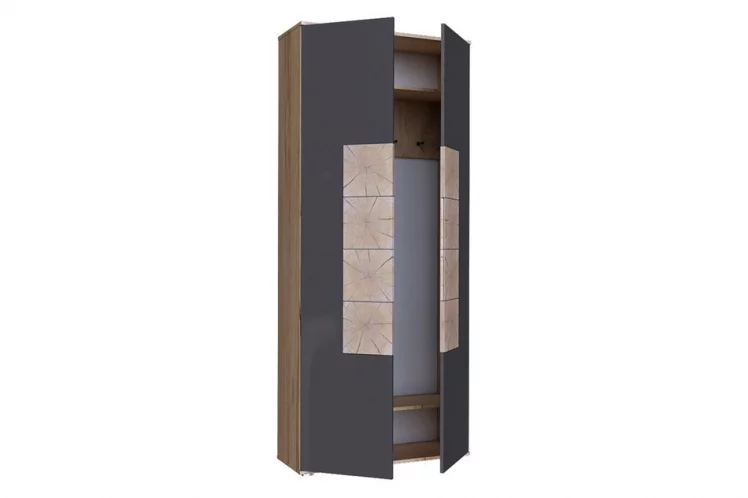 Шкаф двухстворчатый Фиджи ЛД 659.310.000 Дуб золотой Антрацит_1
