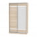 Шкаф-купе B-230х135х60-1(ДСС-D9D10)_354962